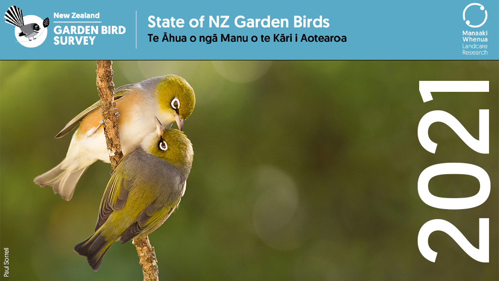 State of NZ Garden Birds 2021 Te Āhua o ngā Manu o te Kāri i Aotearoa
