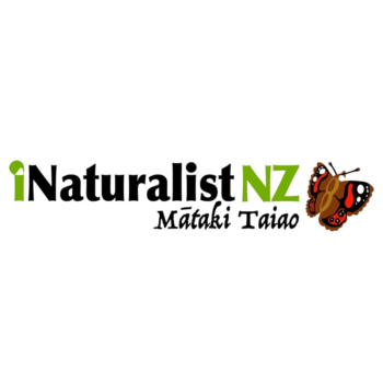 Logo: iNaturalistNZ