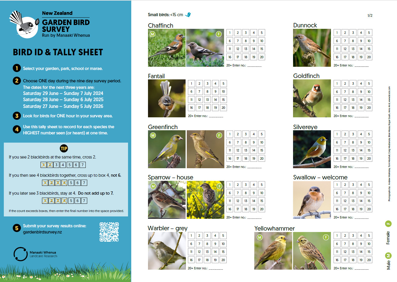 NZ Garden Bird Survey tally sheet