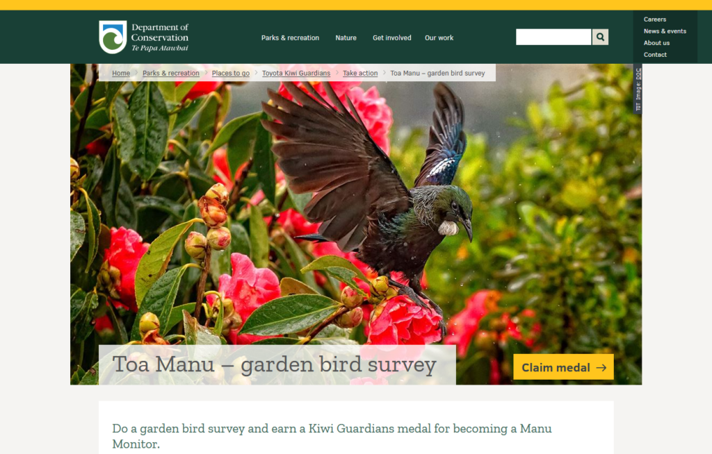 Kiwi Guaridans Toa Manu – garden bird survey