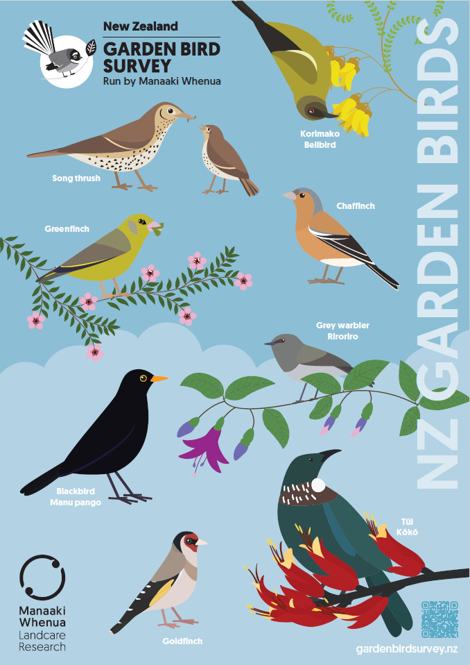 Illustrated Garden Bird poster 2