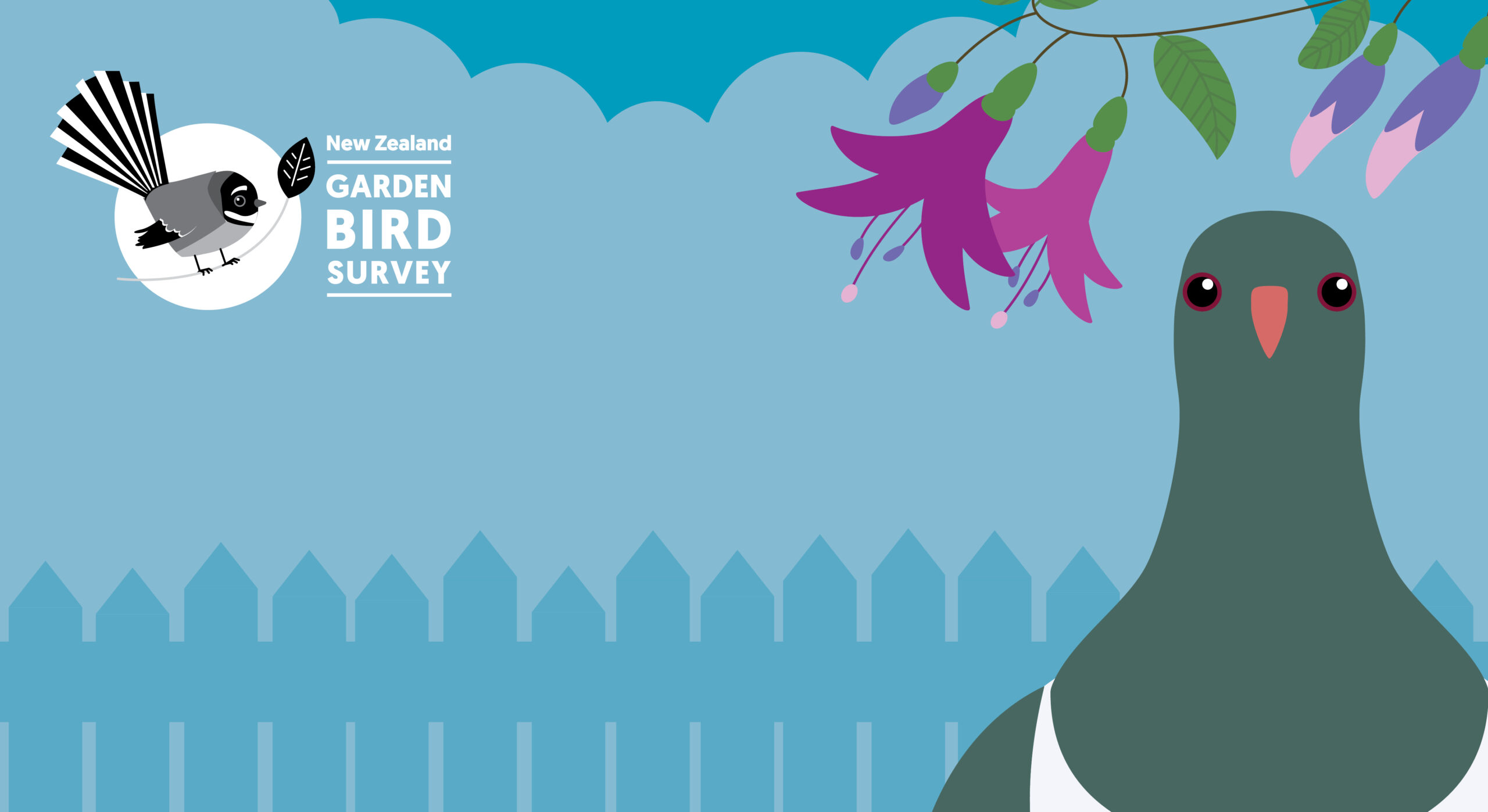 Media kit | New Zealand Garden Bird Survey