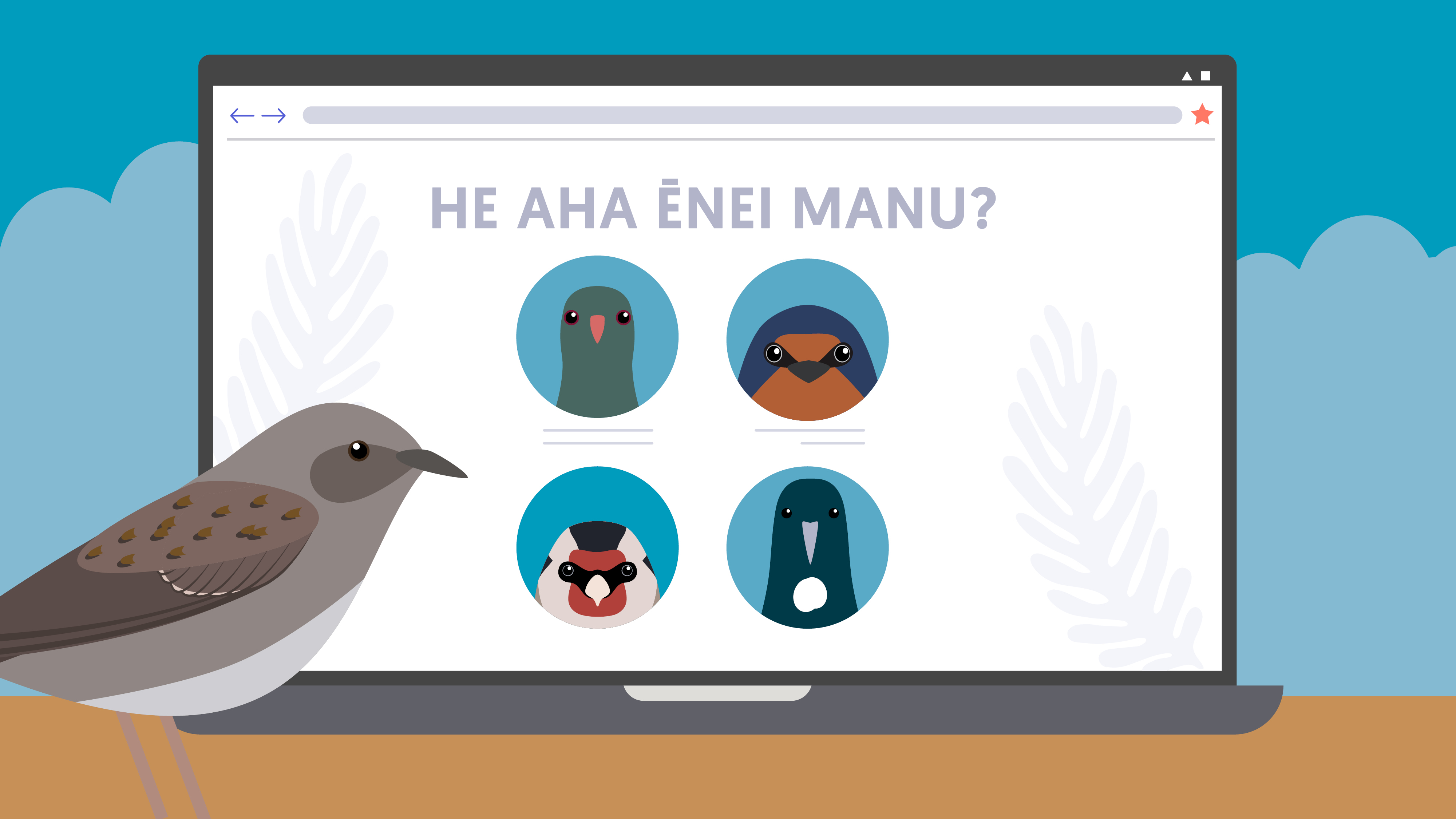 Graphic: He aha ēnei manu? What bird is this?