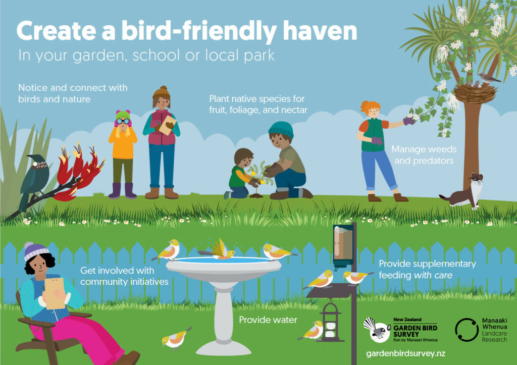 Poster: Create a bird-friendly haven in your garden, park, or school